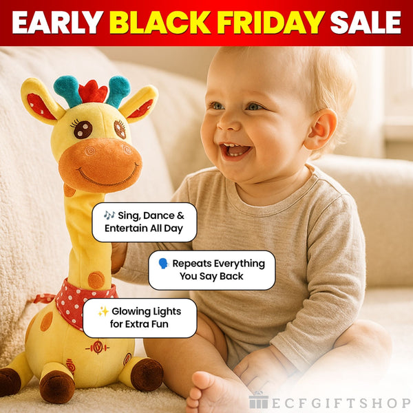 Lulu the Giraffe Fun Toy